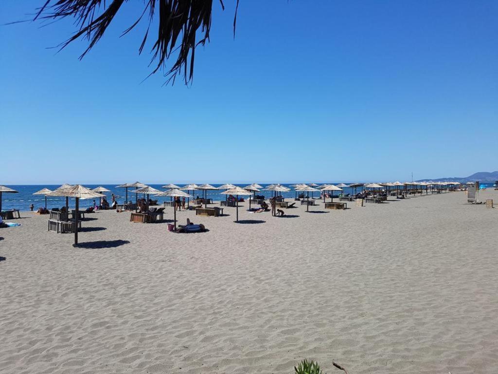 Beba Zalad Apartman